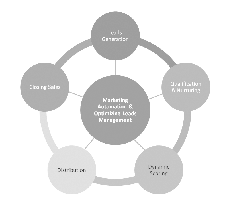 lead-management-definition